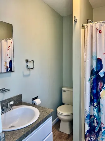 a bathroom with a sink and a toilet