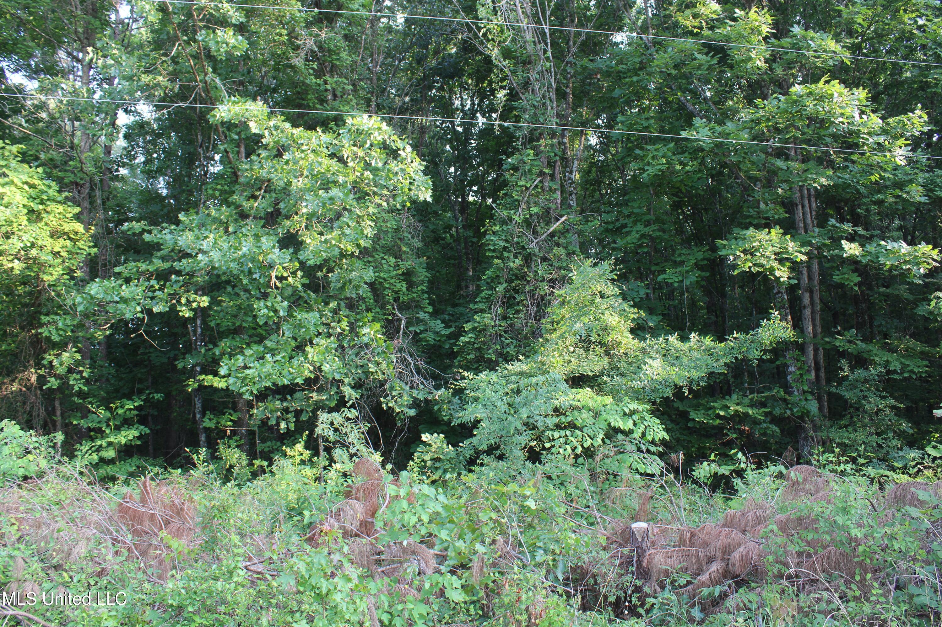 999 White's Crossing Road Holly Springs, MS 38635 - Photo 11 of 18 IMG_6185