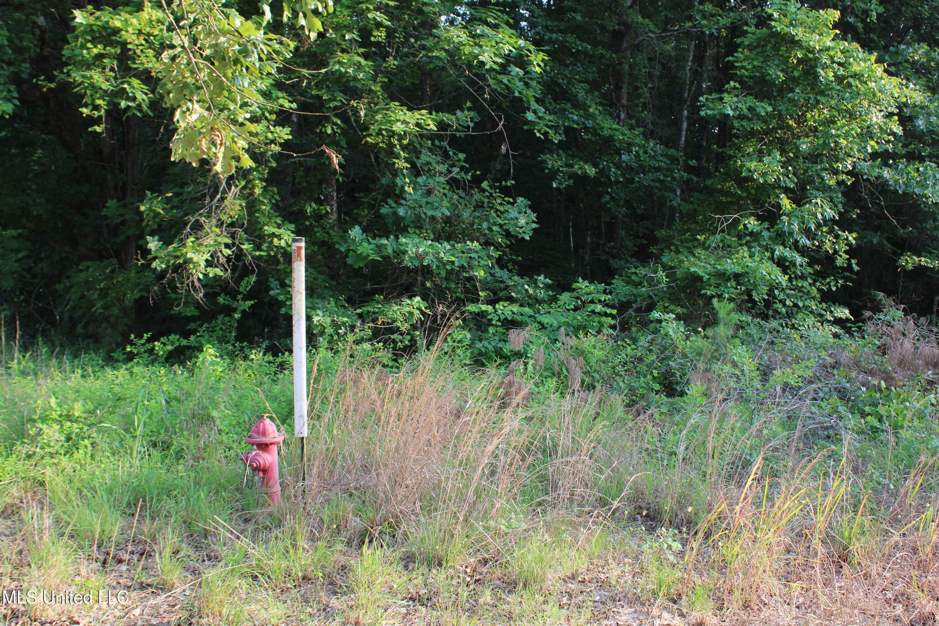999 White's Crossing Road Holly Springs, MS 38635 - Photo 2 of 18 IMG_6184