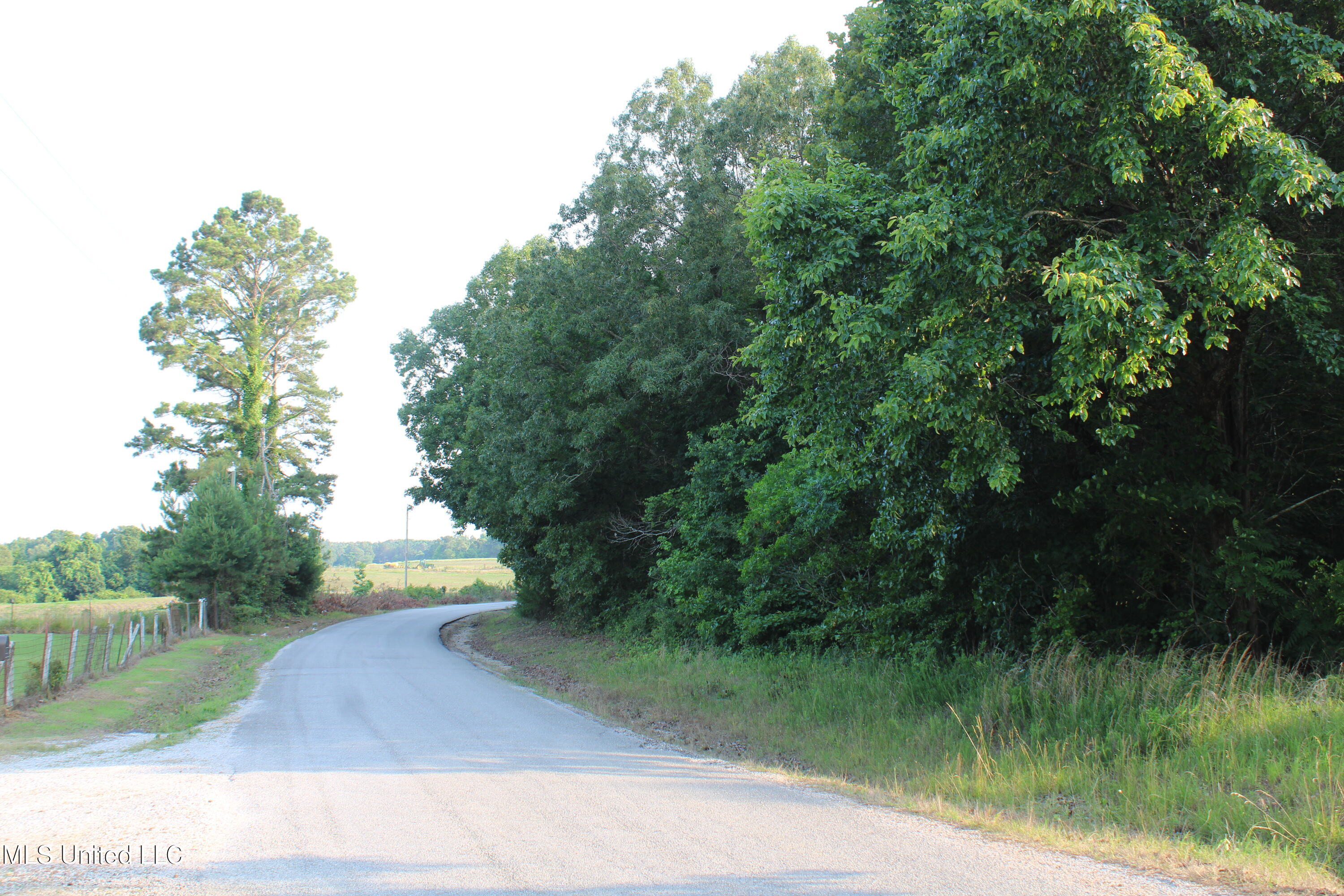 999 White's Crossing Road Holly Springs, MS 38635 - Photo 3 of 18 IMG_6187