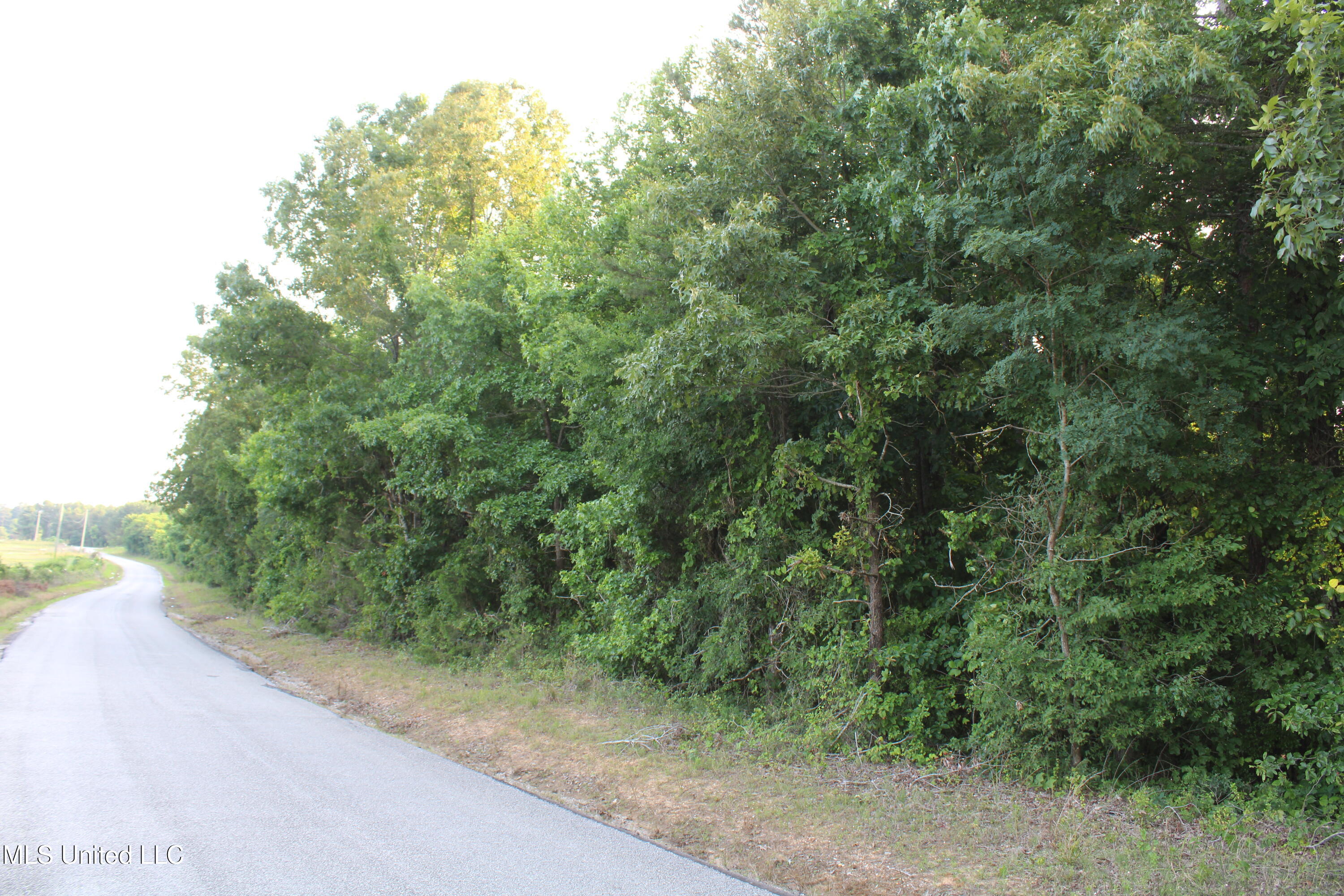 999 White's Crossing Road Holly Springs, MS 38635 - Photo 4 of 18 IMG_6188