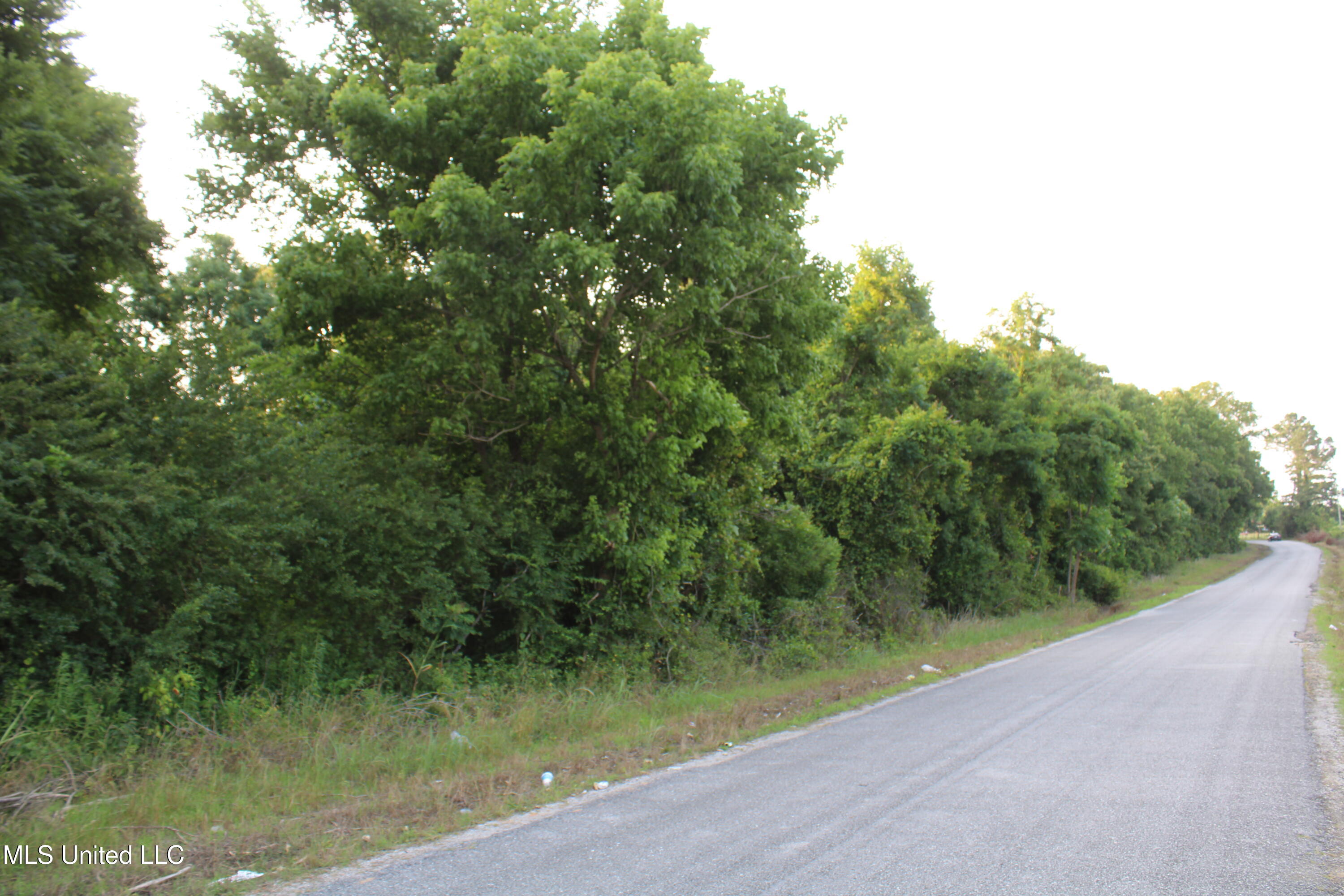 999 White's Crossing Road Holly Springs, MS 38635 - Photo 10 of 18 IMG_6201