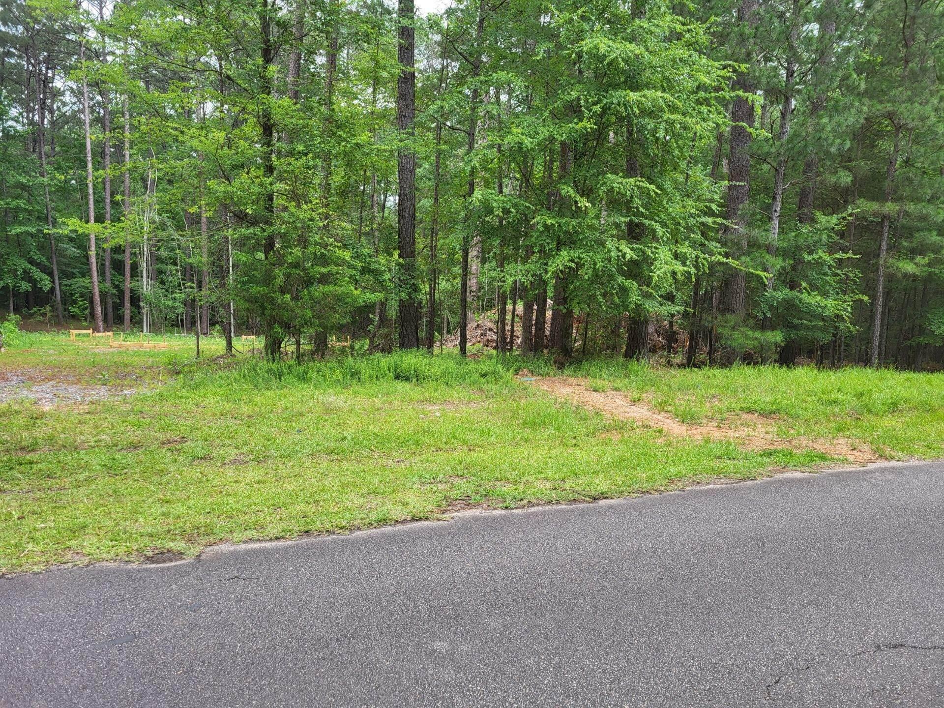 0 Bordeaux Road McCormick, SC 29835 - Photo 7 of 13