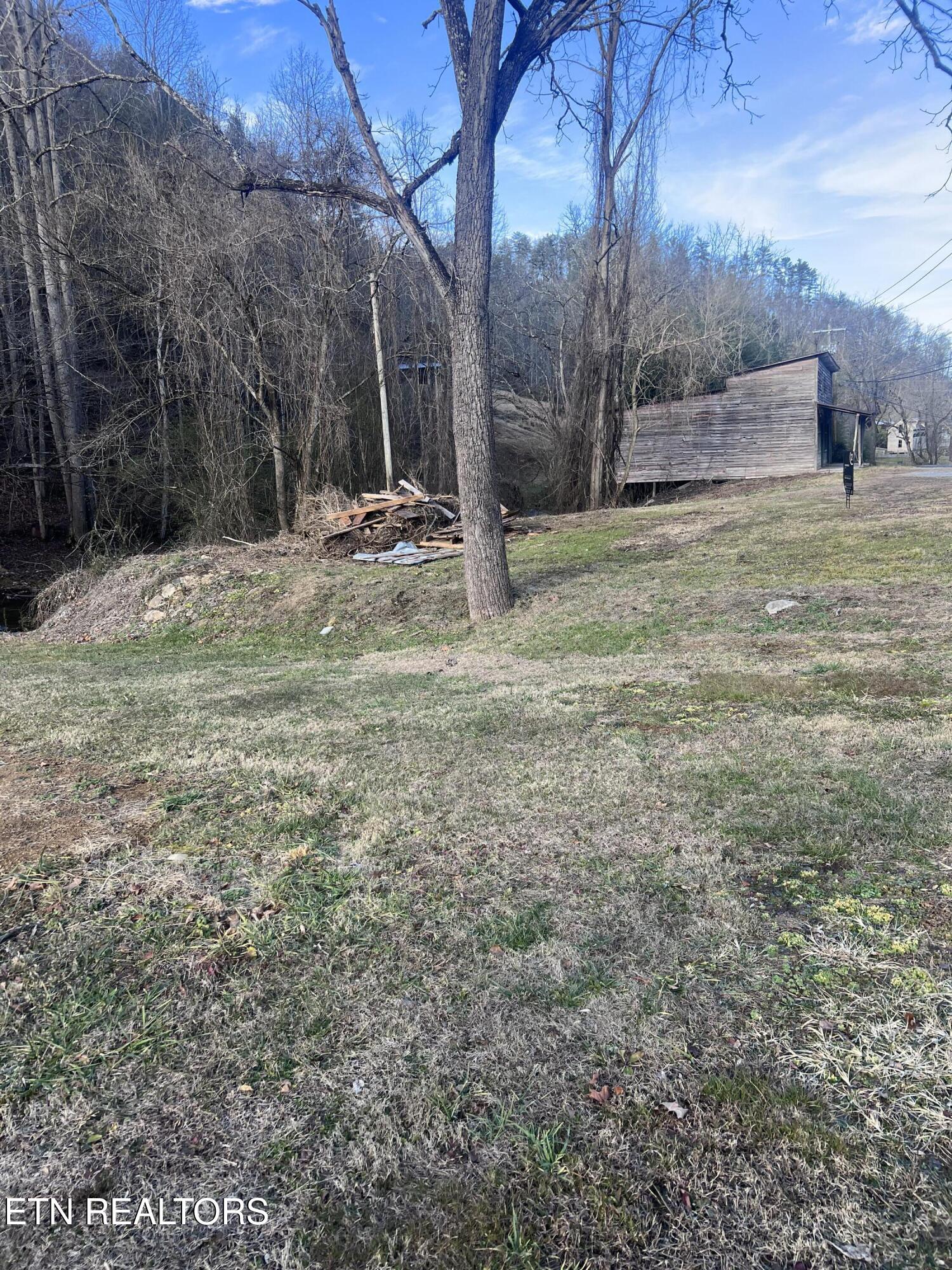 Blue Mill Road Del Rio, TN 37727 - Photo 6 of 7 IMG_0613