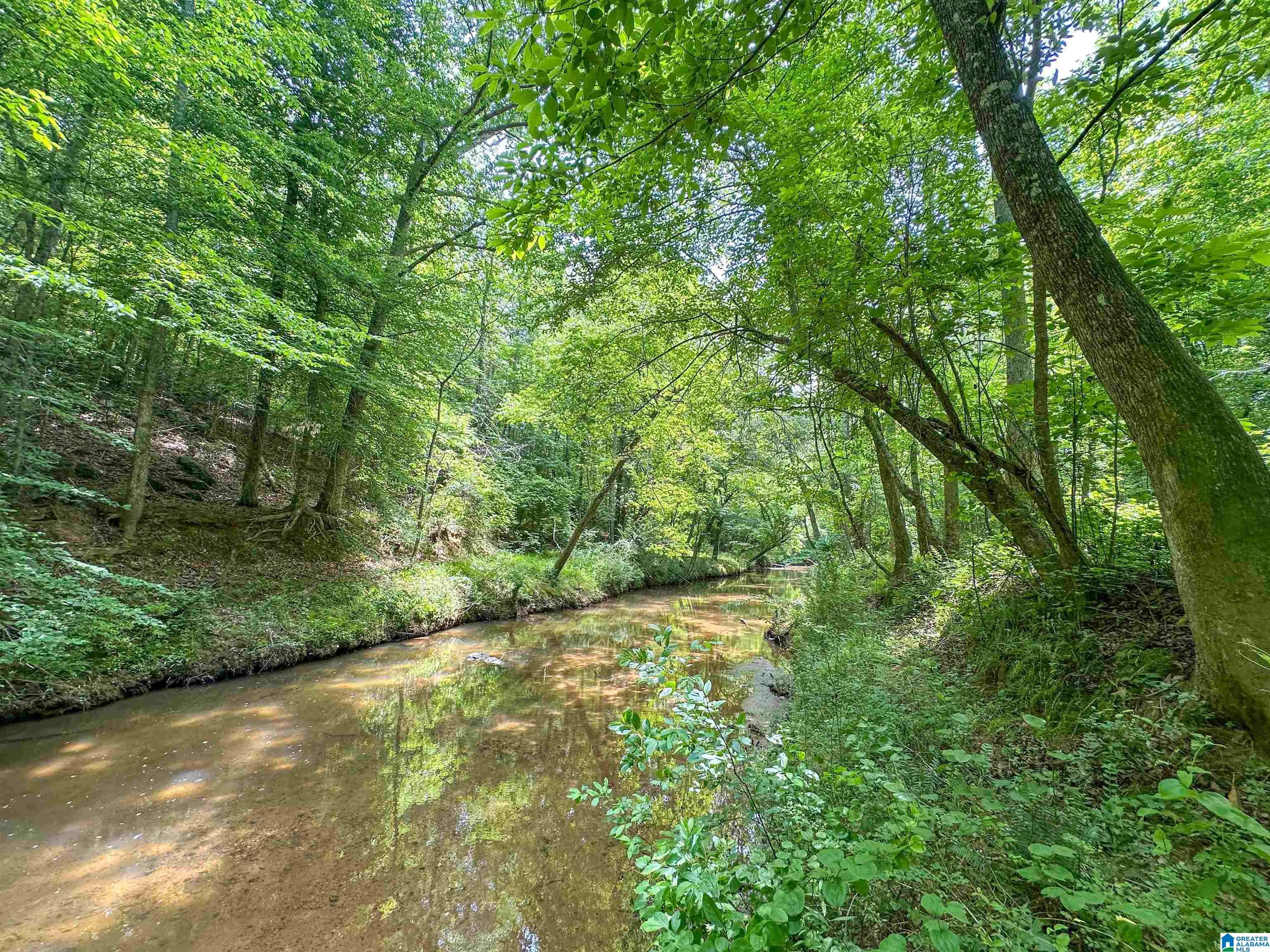 1 Old Mill Road Goodwater, AL 35072 - Photo 9 of 22
