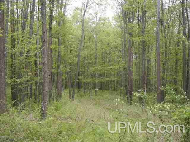 Tbd Wickstrom Road Iron River, MI 49935 - Photo 3 of 6