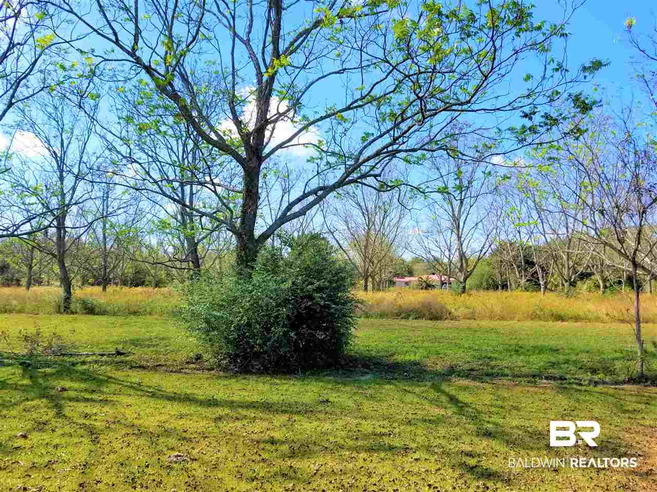 1791 Abbey Loop Foley, AL 36535 - Photo 2 of 20 Back Yard View