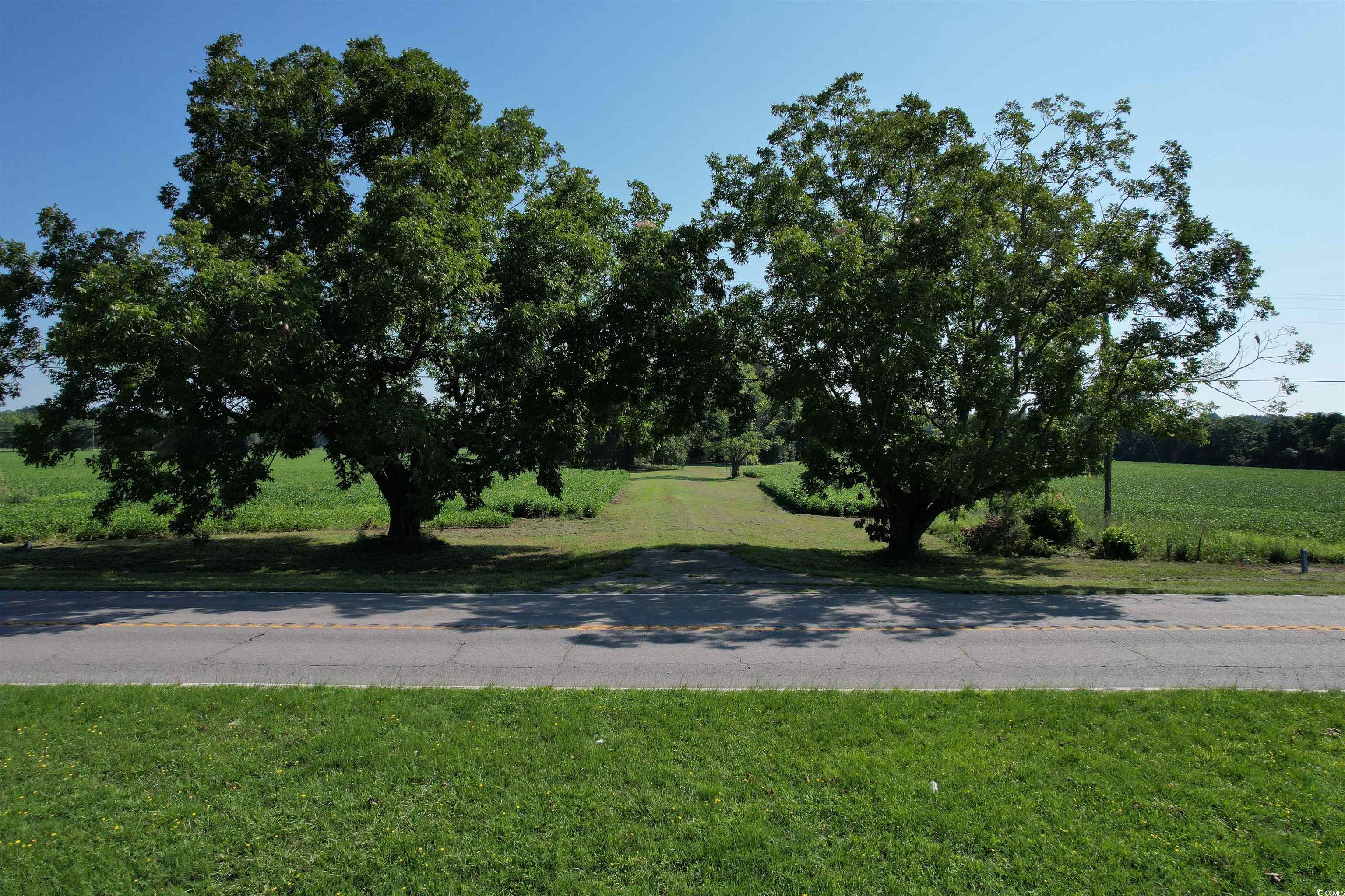 Tbd Sumter Highway Kingstree, SC 29556 - Photo 1 of 15