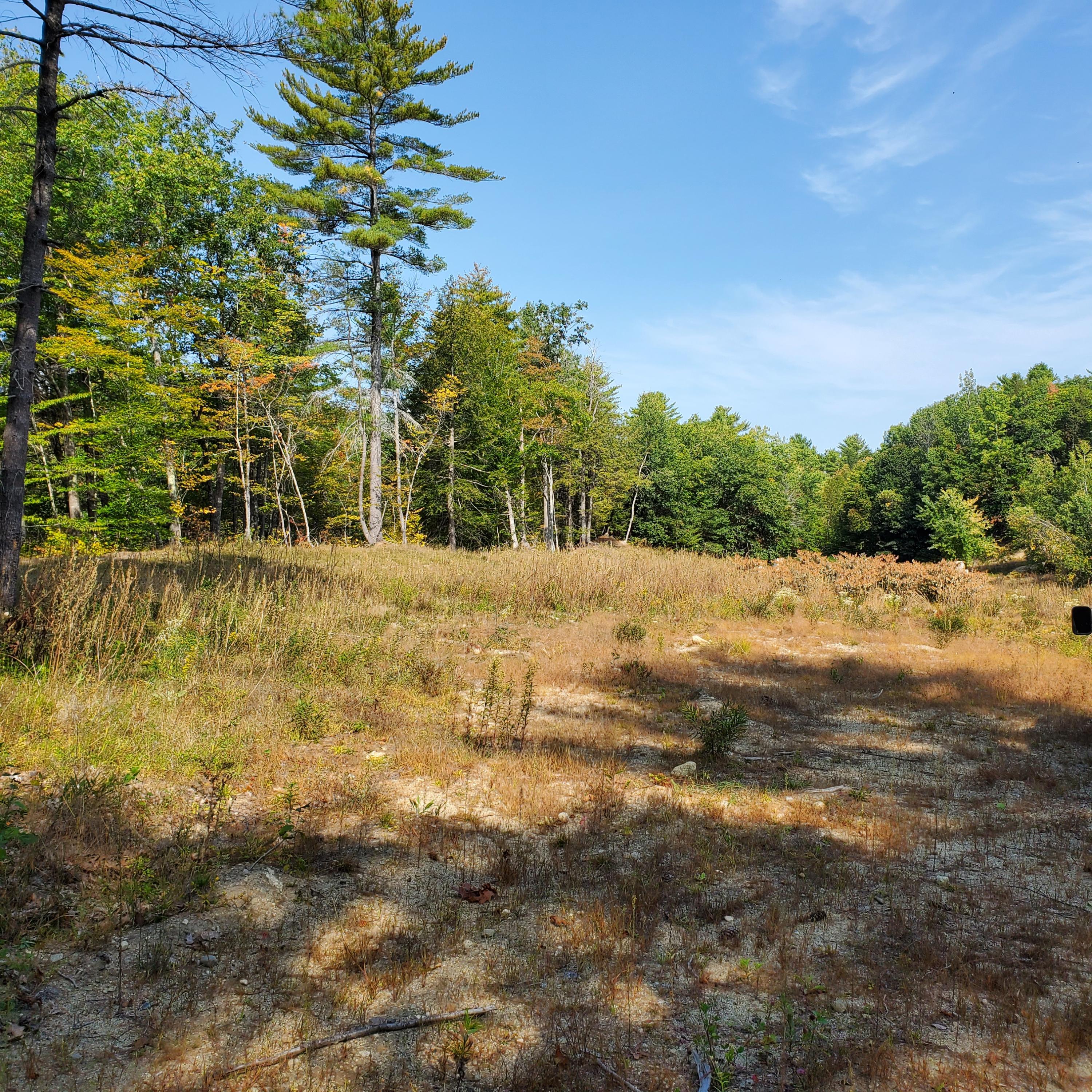 0 Skeetfield Road Oxford, ME 04270 - Photo 4 of 16 20200923_104208