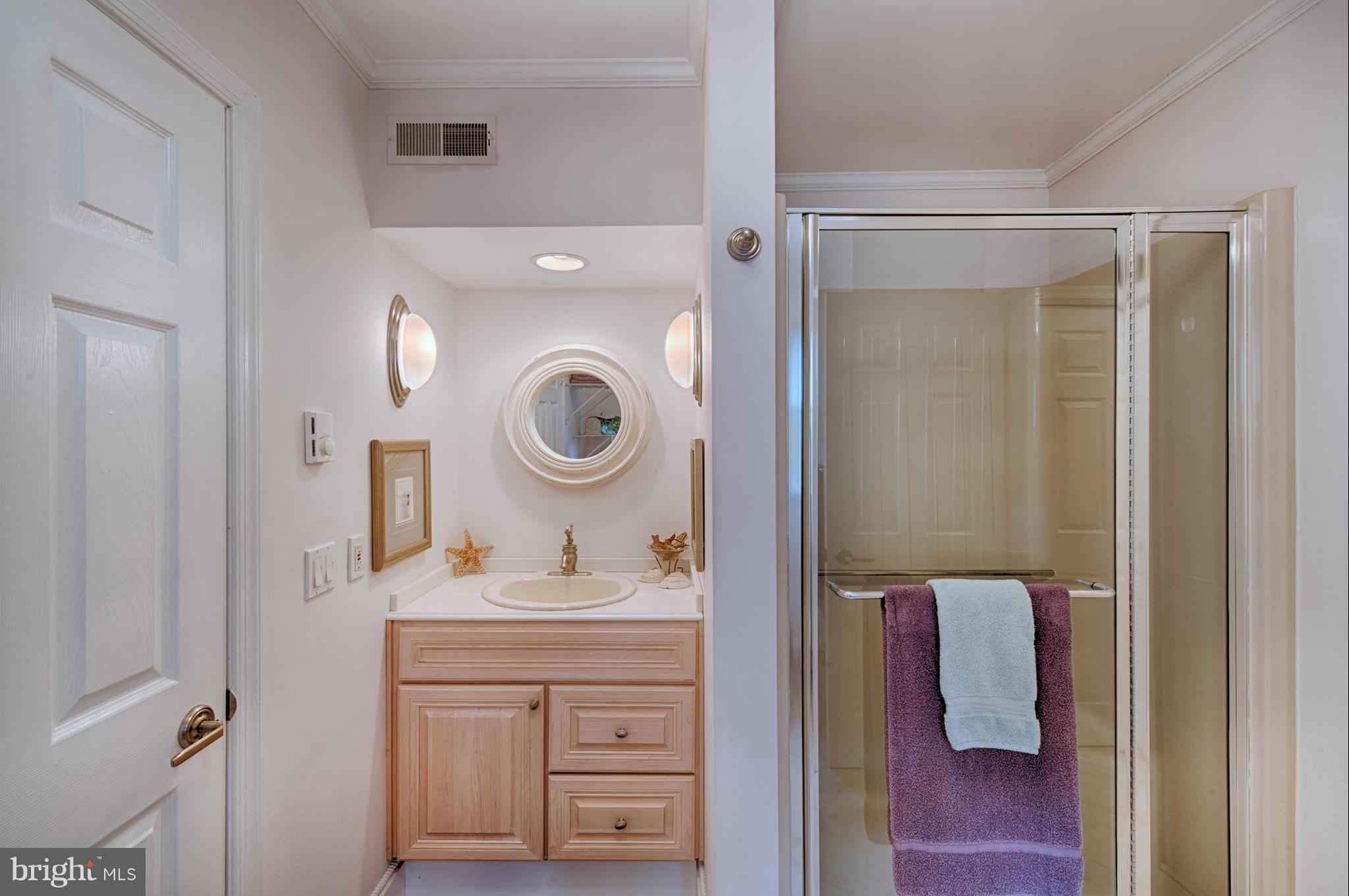 389 River Road Elkton, MD 21921 - Photo 26 of 30 Master Bath