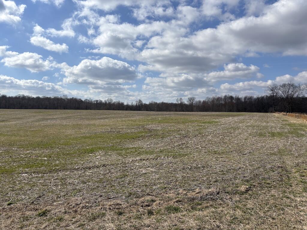 0 Allen Schoolhouse Road Columbia, KY 42728 - Photo 4 of 13 4
