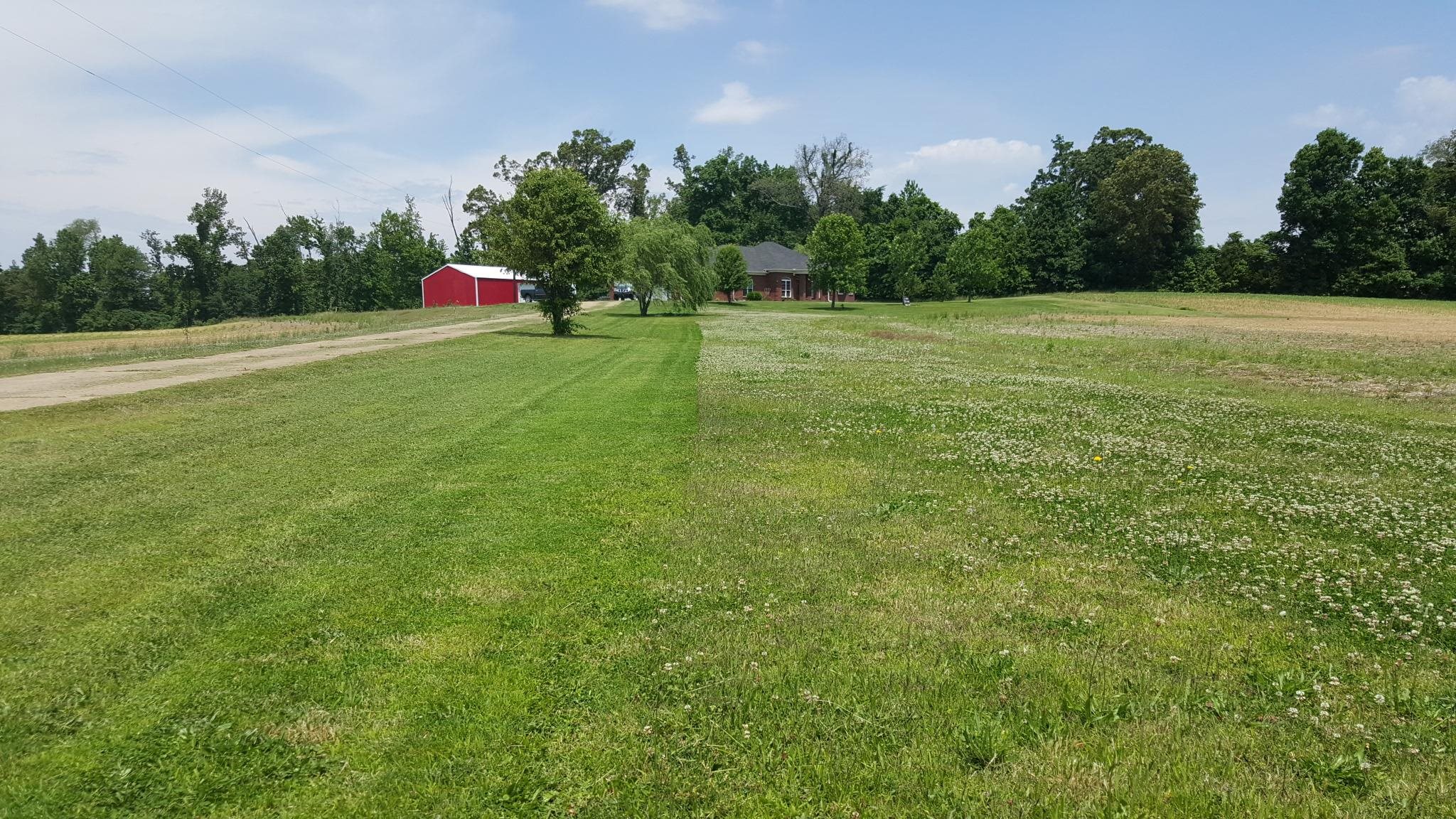 110 R W Anderson Road Mason, TN 38049 - Photo 23 of 23 a view of a field with trees in the background