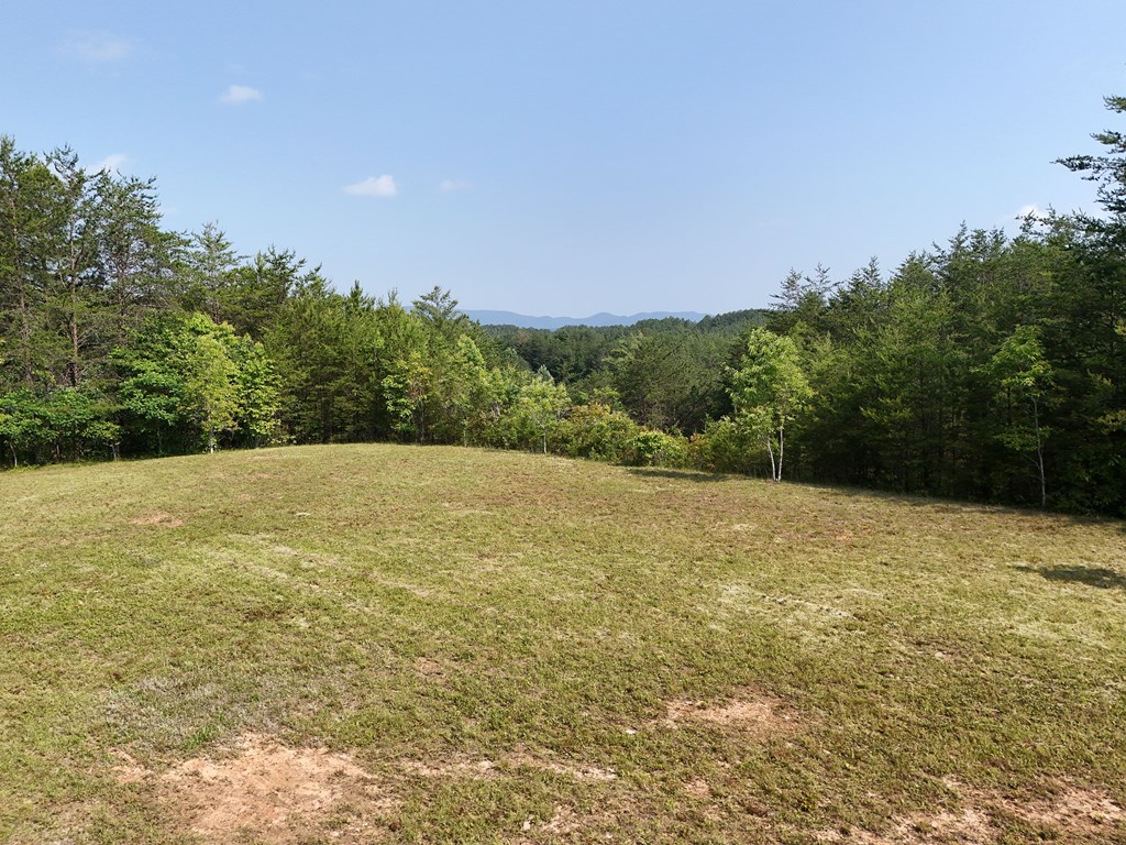 278 Golf Course Road Copperhill, TN 37317 - Photo 13 of 45 a view of large trees with an outdoor space