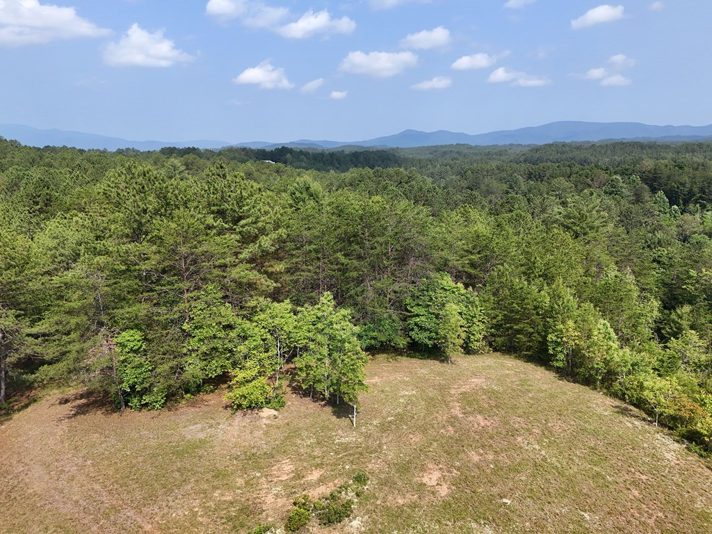 278 Golf Course Road Copperhill, TN 37317 - Photo 14 of 45 a view of a green field with lots of bushes
