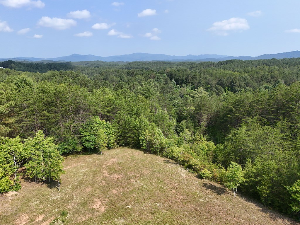 278 Golf Course Road Copperhill, TN 37317 - Photo 15 of 45 a view of a green field with lots of bushes