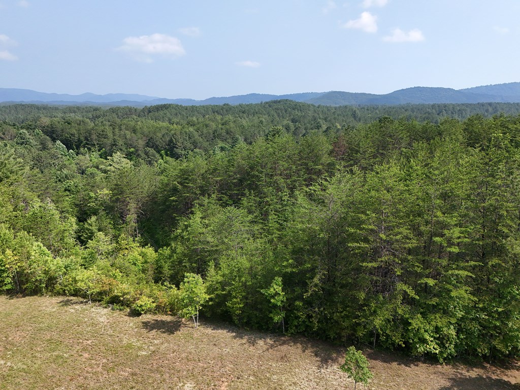 278 Golf Course Road Copperhill, TN 37317 - Photo 16 of 45 a view of a green field with lots of bushes