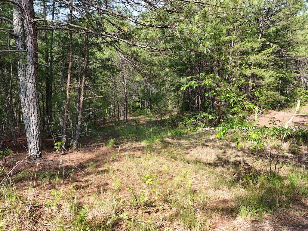 278 Golf Course Road Copperhill, TN 37317 - Photo 17 of 45 a backyard of a house with lots of green space and fountain