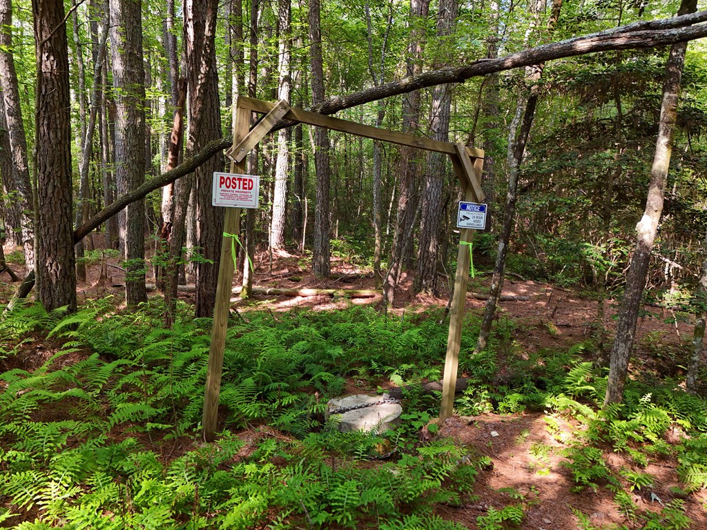 278 Golf Course Road Copperhill, TN 37317 - Photo 20 of 45 a view of street along with trees