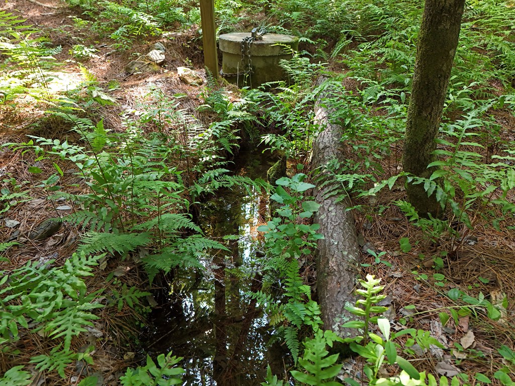 278 Golf Course Road Copperhill, TN 37317 - Photo 21 of 45 a plant view