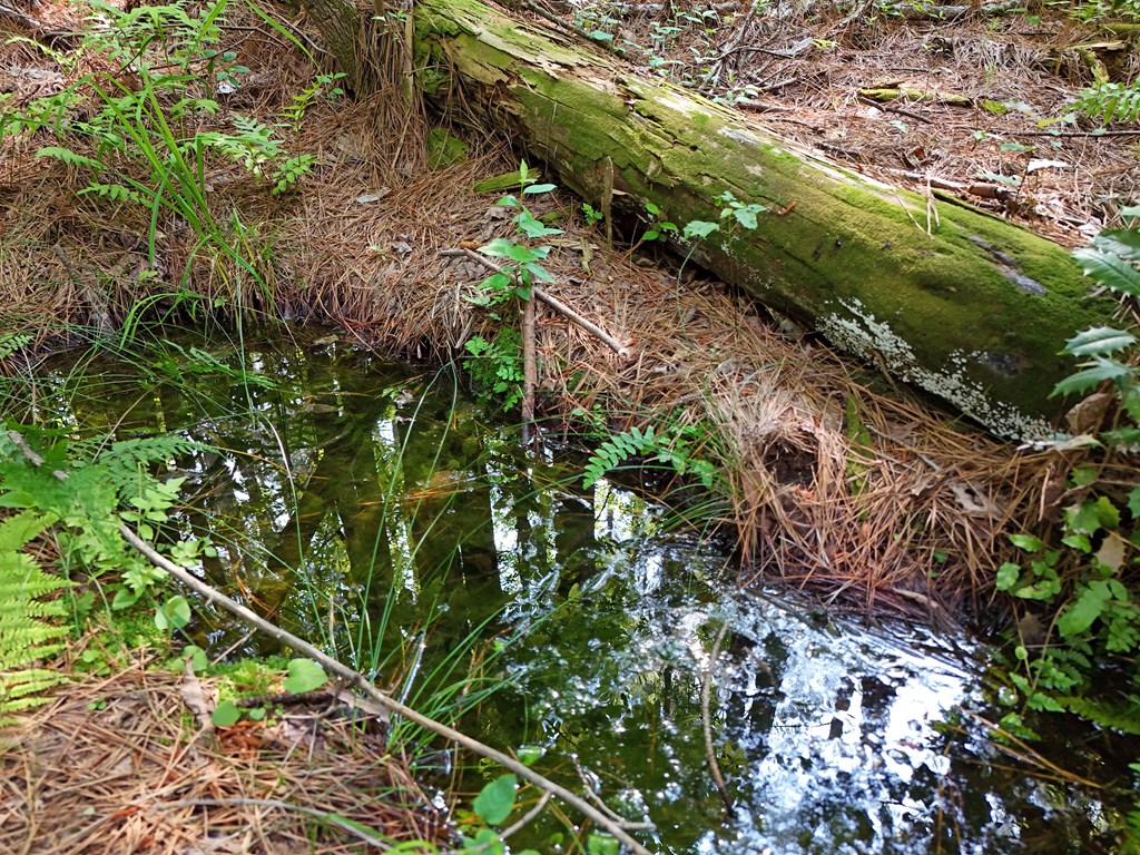 278 Golf Course Road Copperhill, TN 37317 - Photo 23 of 45