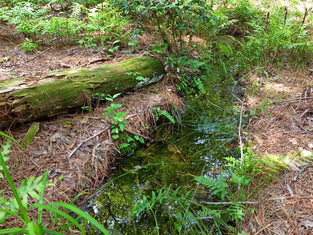 278 Golf Course Road Copperhill, TN 37317 - Photo 24 of 45 a backyard of a house with lots of green space and mountain view