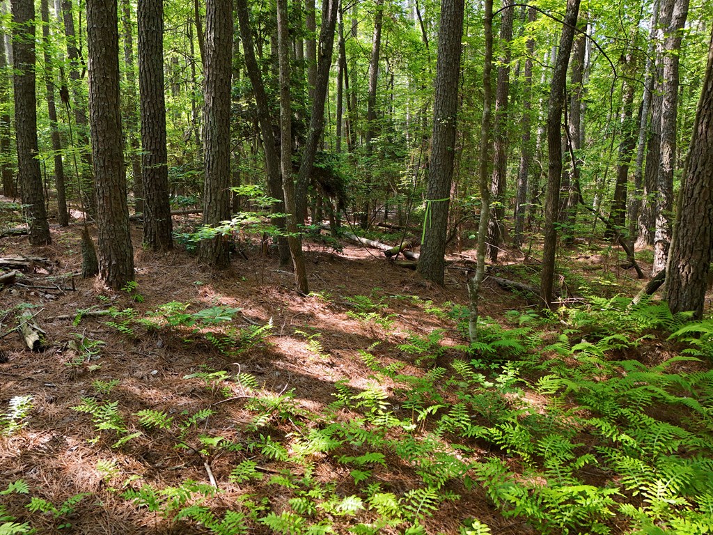 278 Golf Course Road Copperhill, TN 37317 - Photo 25 of 45 a view of backyard with green space