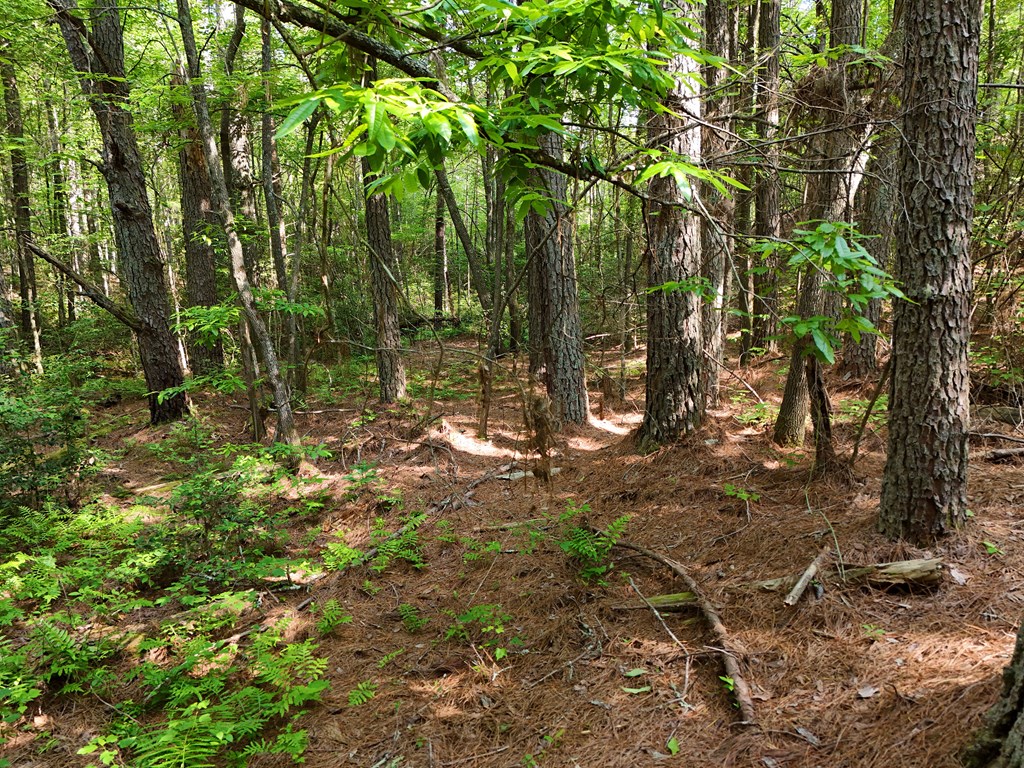 278 Golf Course Road Copperhill, TN 37317 - Photo 26 of 45 a view of yard