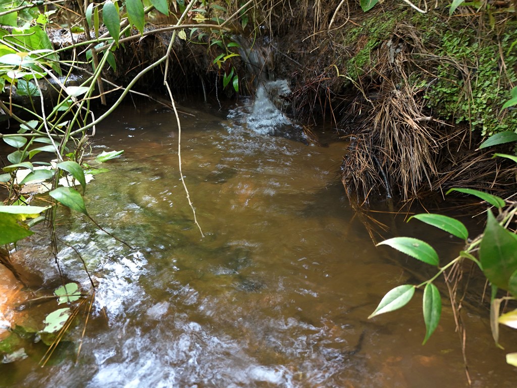 278 Golf Course Road Copperhill, TN 37317 - Photo 30 of 45 a backyard of a house