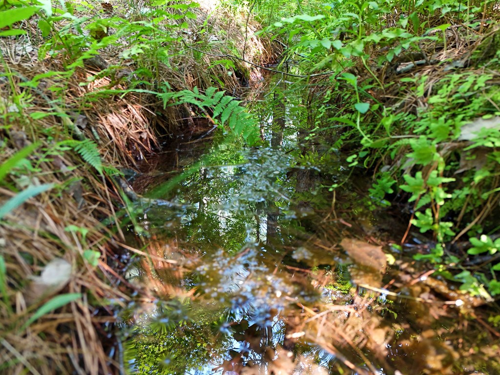 278 Golf Course Road Copperhill, TN 37317 - Photo 3 of 45 a backyard of a house