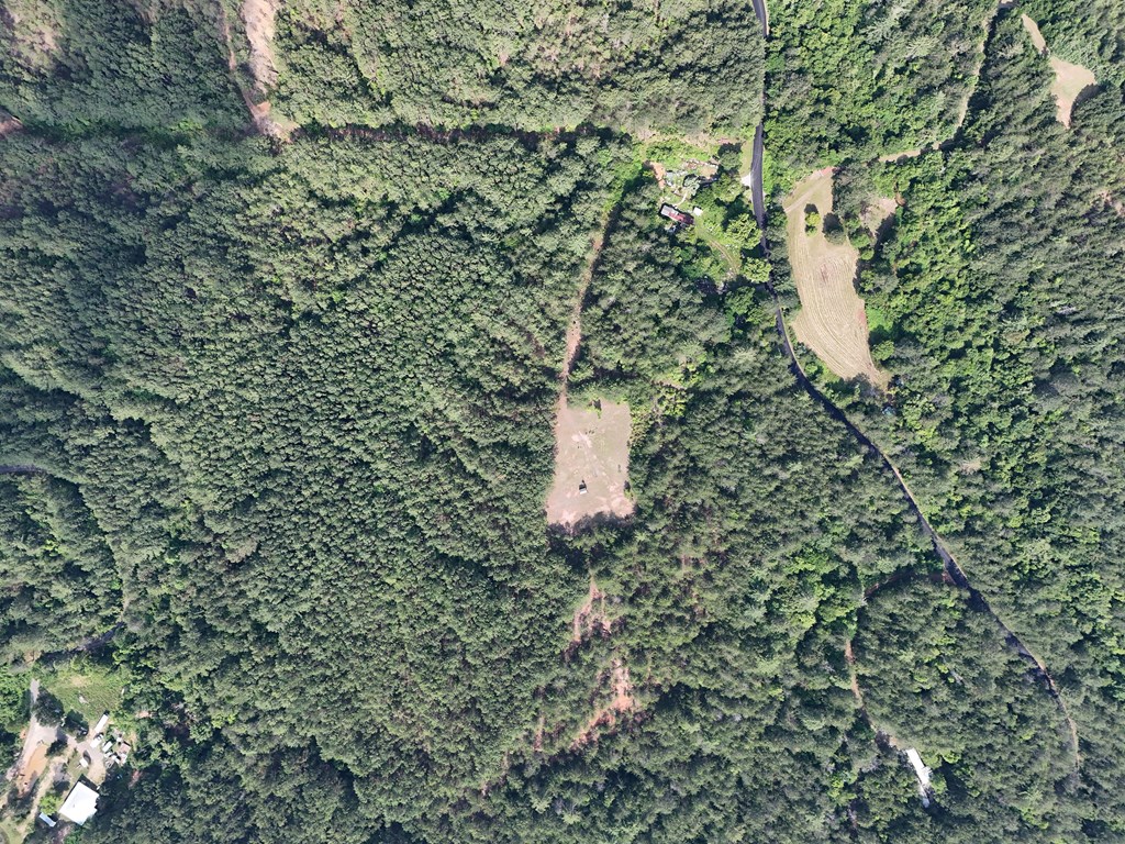 278 Golf Course Road Copperhill, TN 37317 - Photo 32 of 45 a close up of a plant