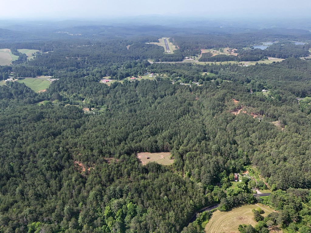 278 Golf Course Road Copperhill, TN 37317 - Photo 36 of 45 a view of a city from a yard