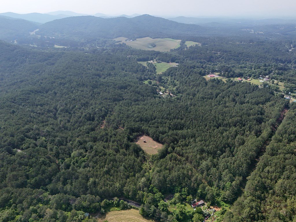 278 Golf Course Road Copperhill, TN 37317 - Photo 38 of 45 a view of a houses with a yard