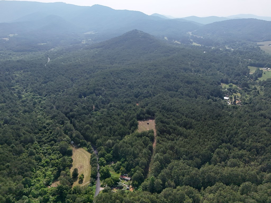 278 Golf Course Road Copperhill, TN 37317 - Photo 39 of 45 a view of a forest with a mountain in the background