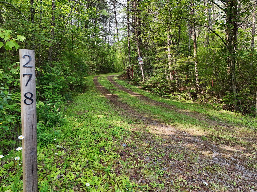 278 Golf Course Road Copperhill, TN 37317 - Photo 4 of 45 a view of outdoor space and yard