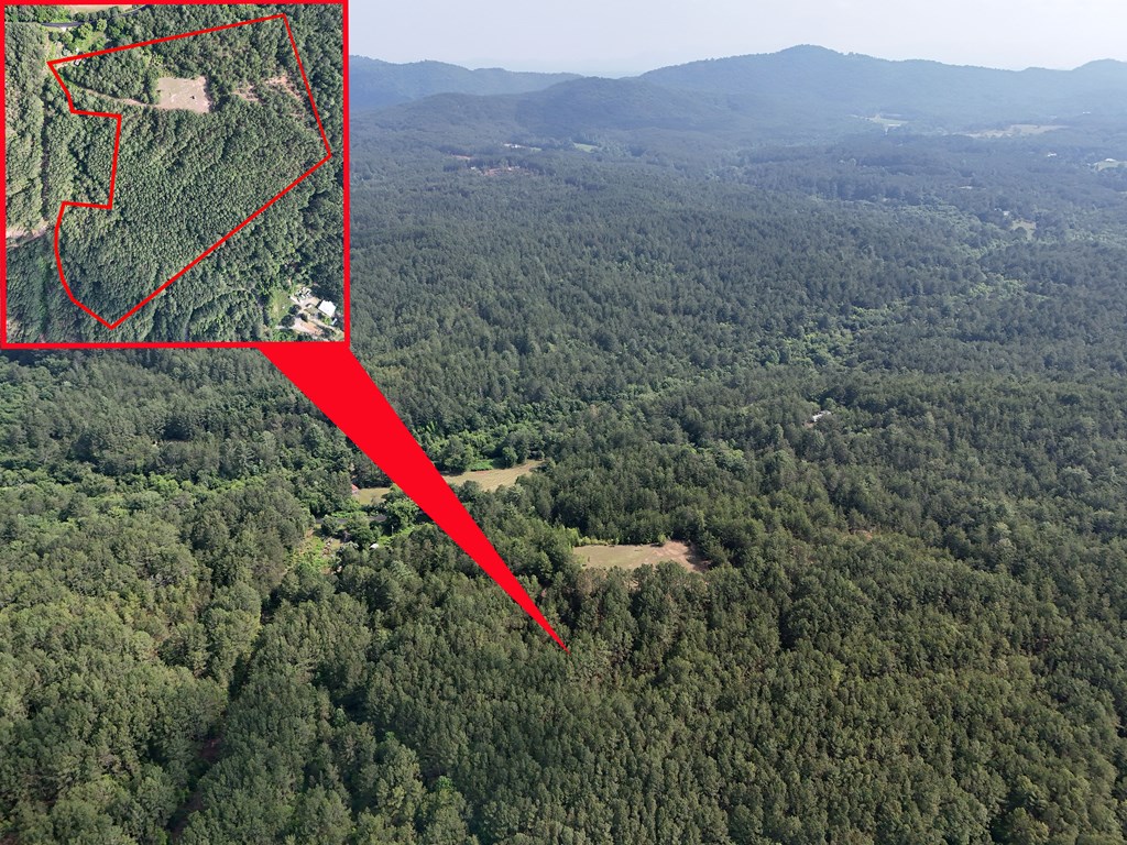 278 Golf Course Road Copperhill, TN 37317 - Photo 42 of 45 a view of a houses with a lush green area