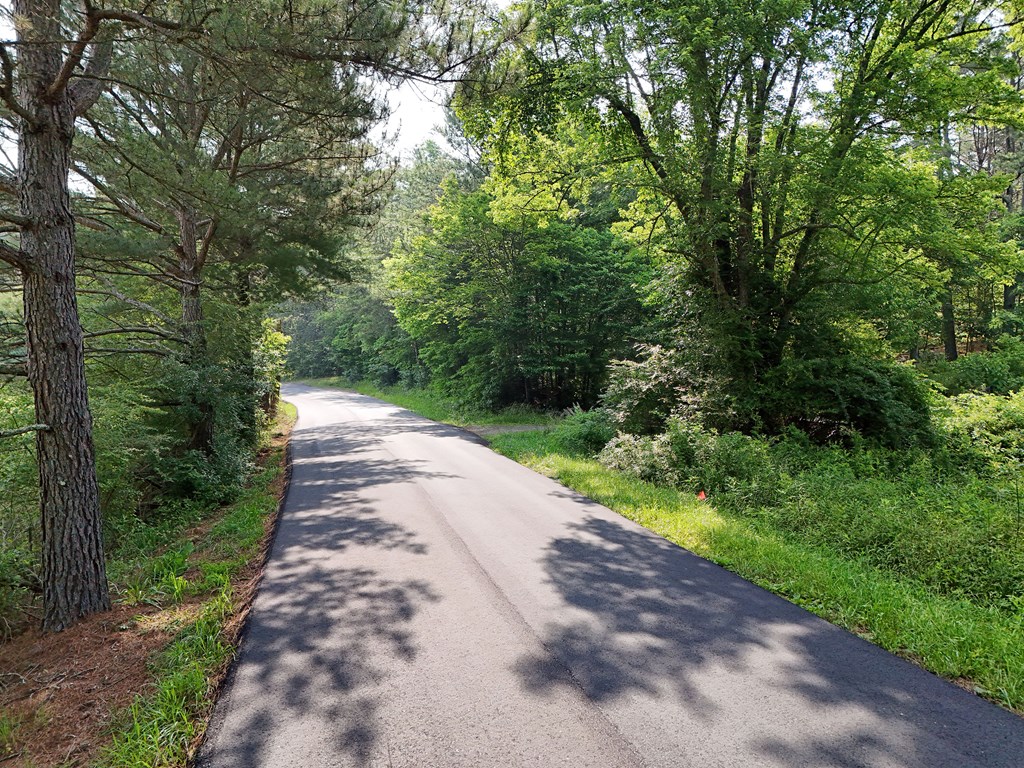 278 Golf Course Road Copperhill, TN 37317 - Photo 43 of 45 a view of a pathway both side of yard