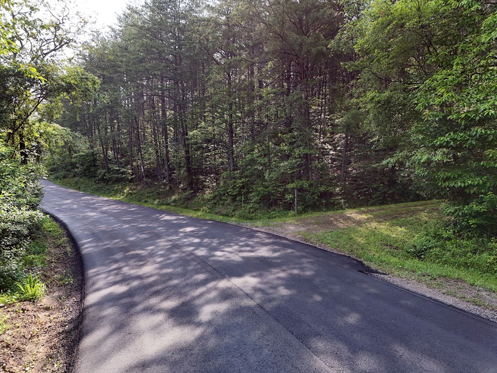 278 Golf Course Road Copperhill, TN 37317 - Photo 44 of 45 a view of outdoor space and yard