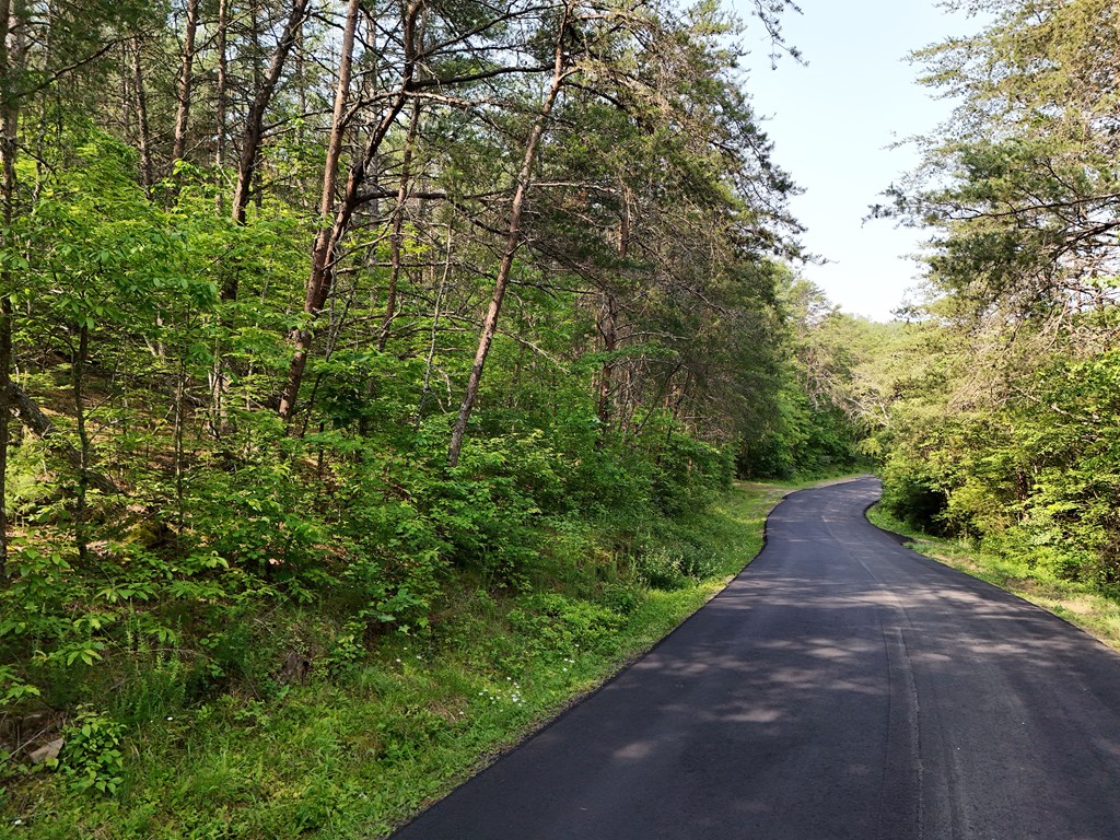 278 Golf Course Road Copperhill, TN 37317 - Photo 45 of 45 a view of a pathway both side of yard
