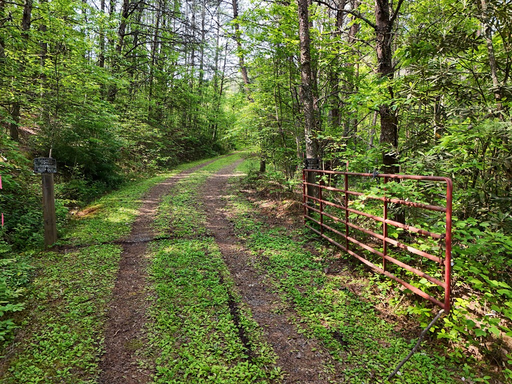 278 Golf Course Road Copperhill, TN 37317 - Photo 5 of 45 a backyard of a house with lots of green space and trees