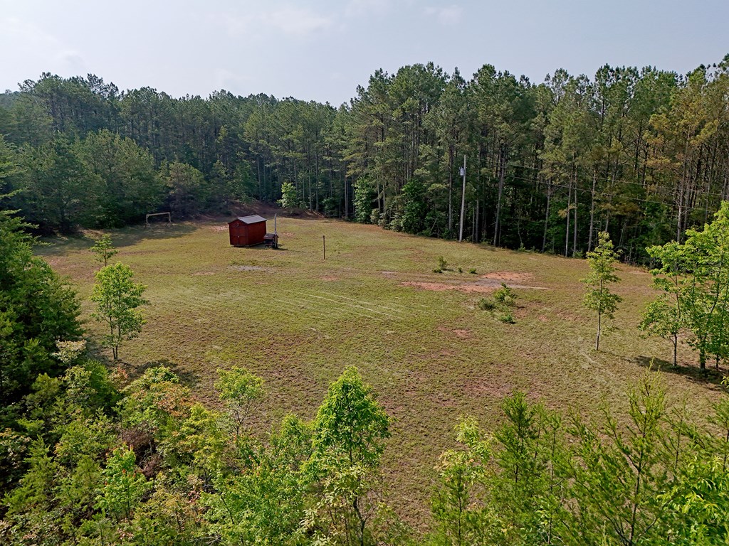 278 Golf Course Road Copperhill, TN 37317 - Photo 6 of 45 a view of a backyard of the house