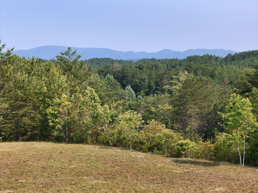 278 Golf Course Road Copperhill, TN 37317 - Photo 7 of 45 a view of a city with lush green forest