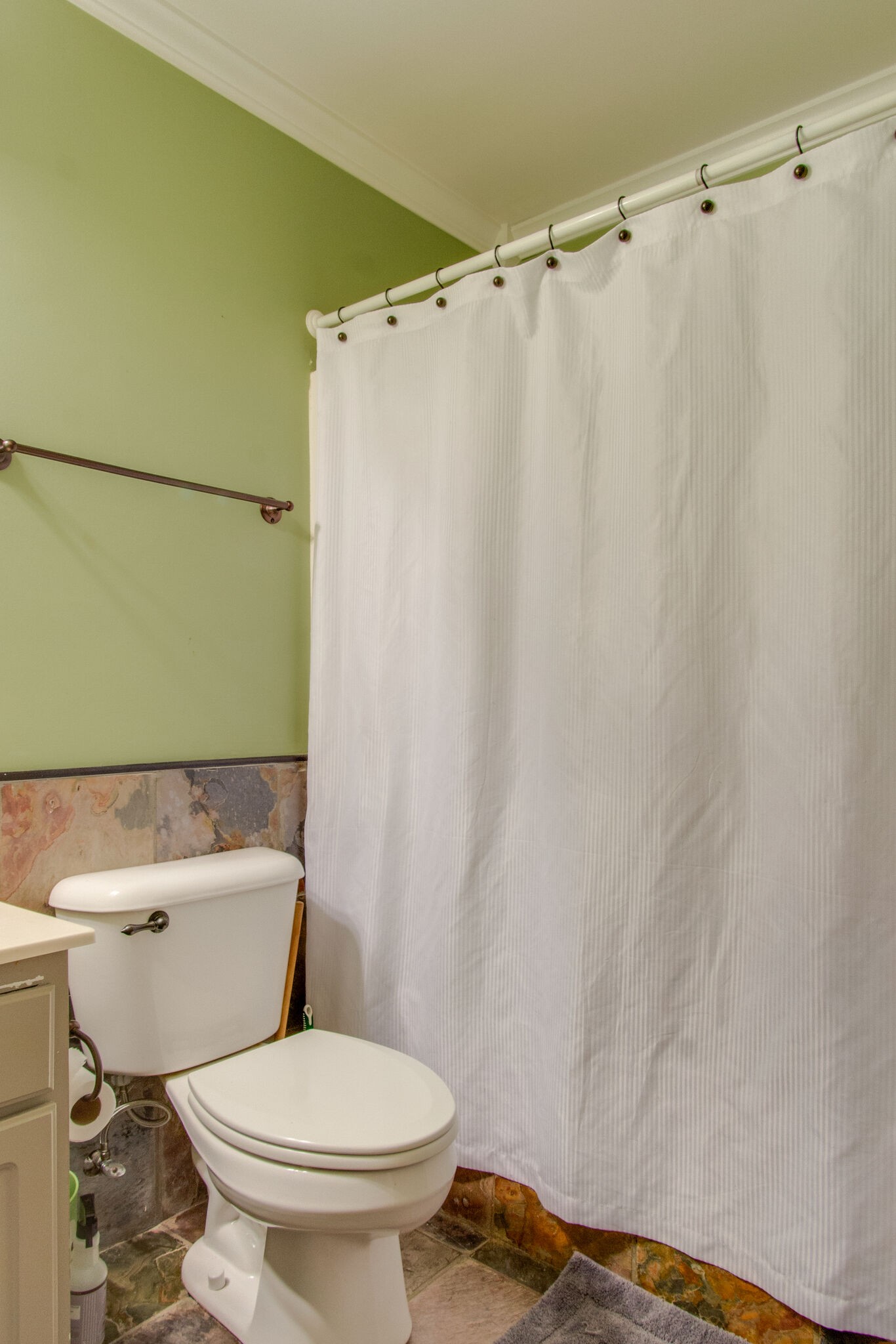 7020 Red Apple Road Antioch, TN 37013 - Photo 23 of 28 a white toilet sitting next to a shower curtain