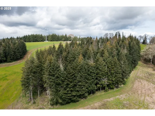 $903,000 | 92884 Applegate Trail, Junction City, OR 97448