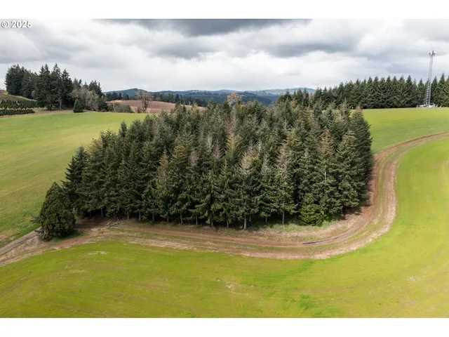 $903,000 | 92884 Applegate Trail, Junction City, OR 97448