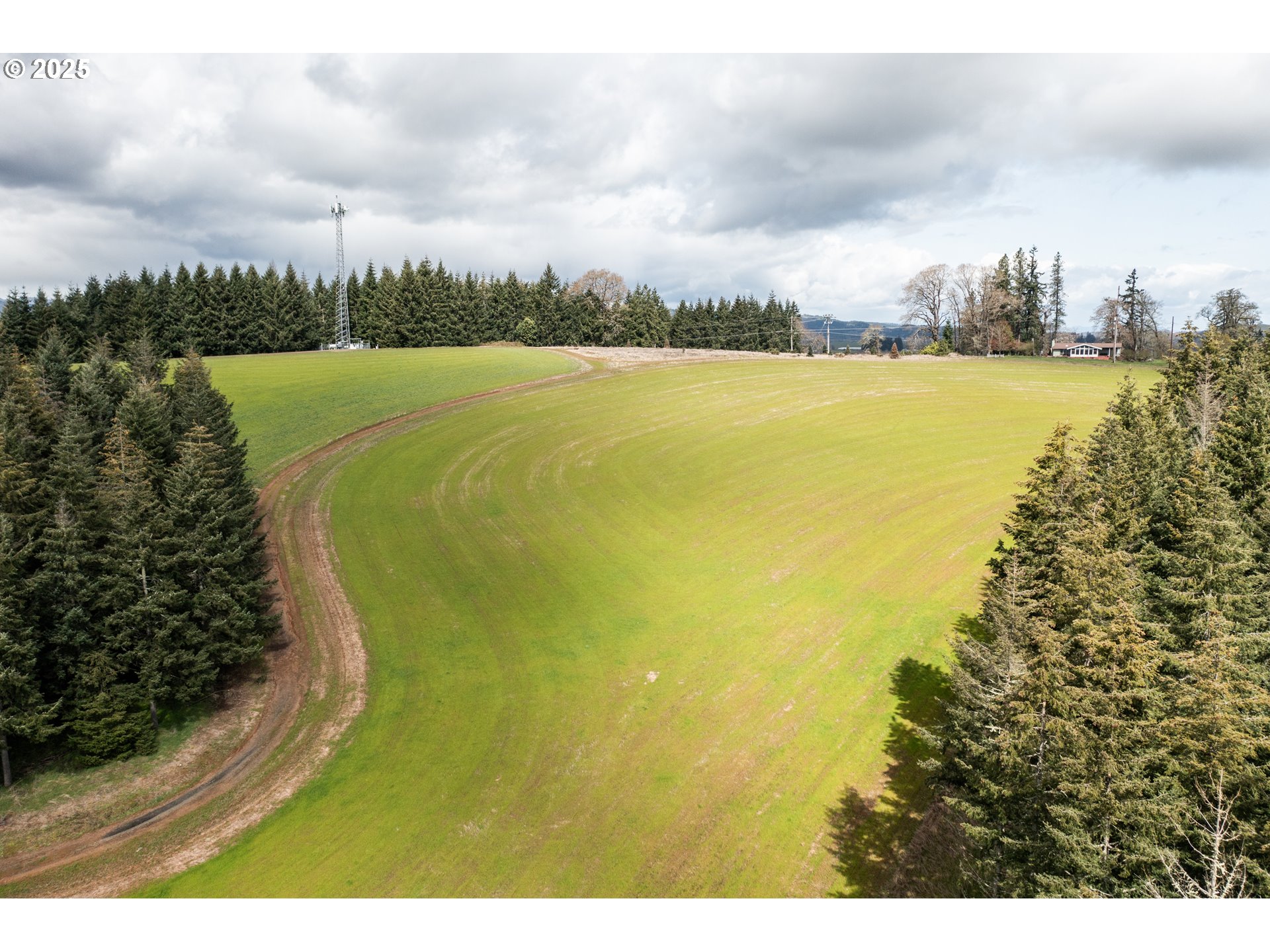 92884 Applegate Trail Junction City, OR 97448 - Photo 20 of 28