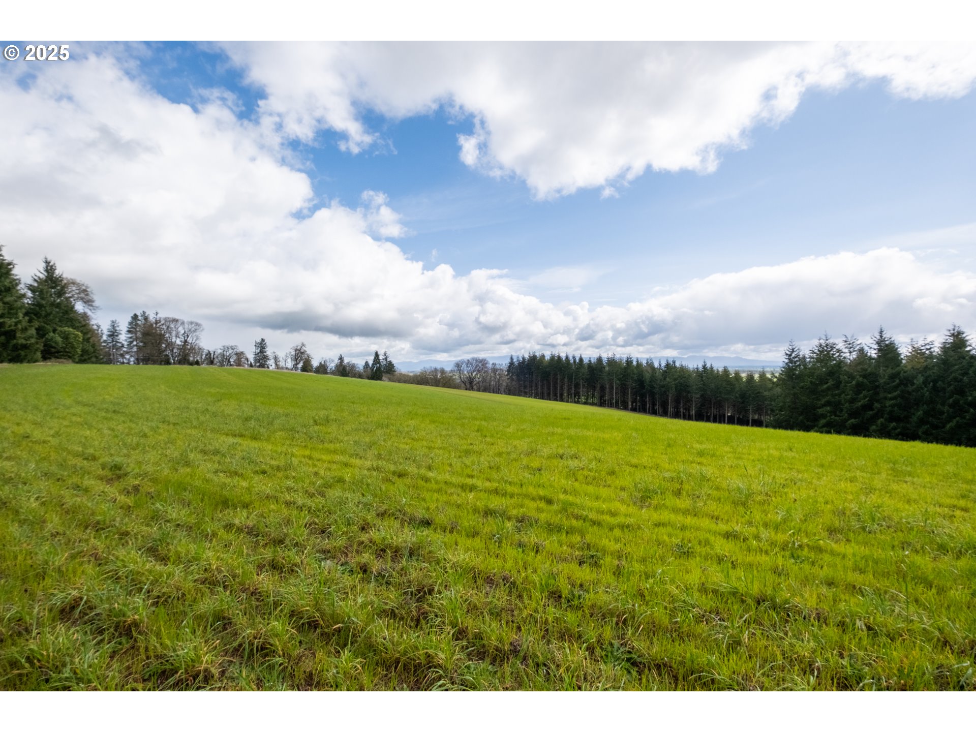 92884 Applegate Trail Junction City, OR 97448 - Photo 21 of 28