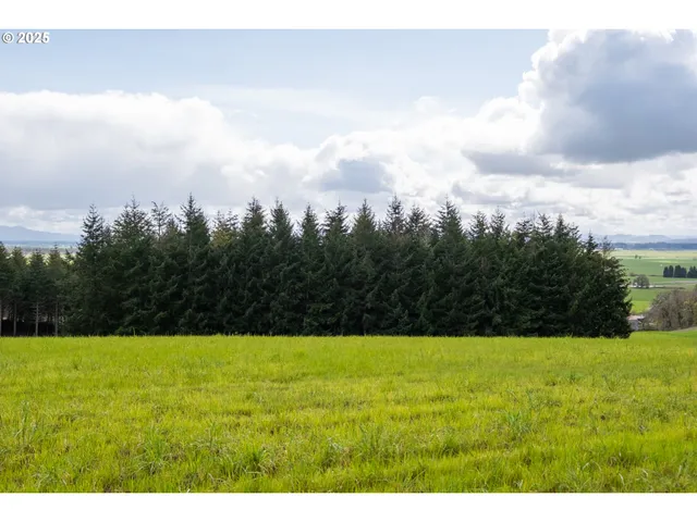 $903,000 | 92884 Applegate Trail, Junction City, OR 97448