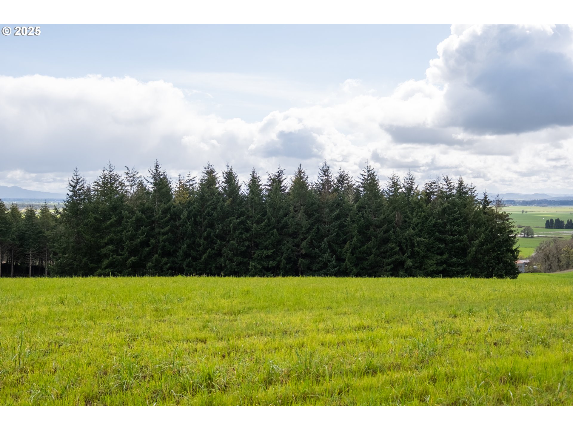 92884 Applegate Trail Junction City, OR 97448 - Photo 22 of 28