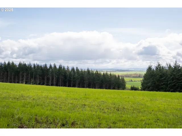 $903,000 | 92884 Applegate Trail, Junction City, OR 97448
