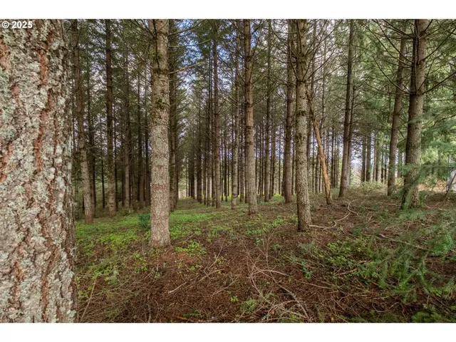 $903,000 | 92884 Applegate Trail, Junction City, OR 97448